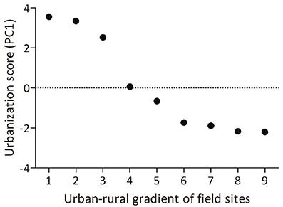 Two Neural Measures Differ between Urban and Rural Song Sparrows after Conspecific Song Playback